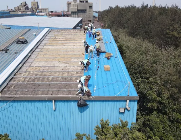 台灣鋼聯
